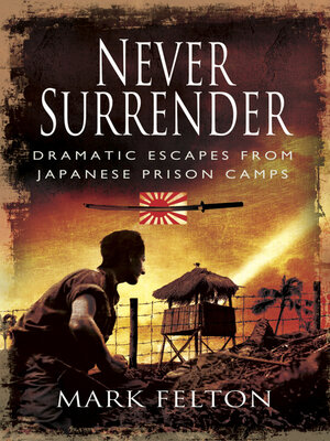 cover image of Never Surrender